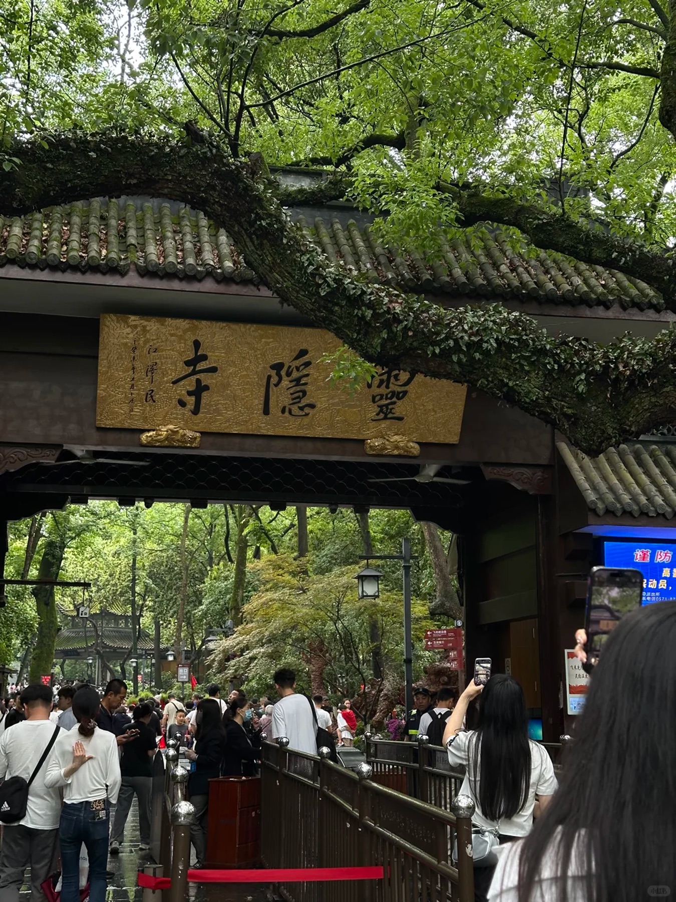 Lingyin Temple view