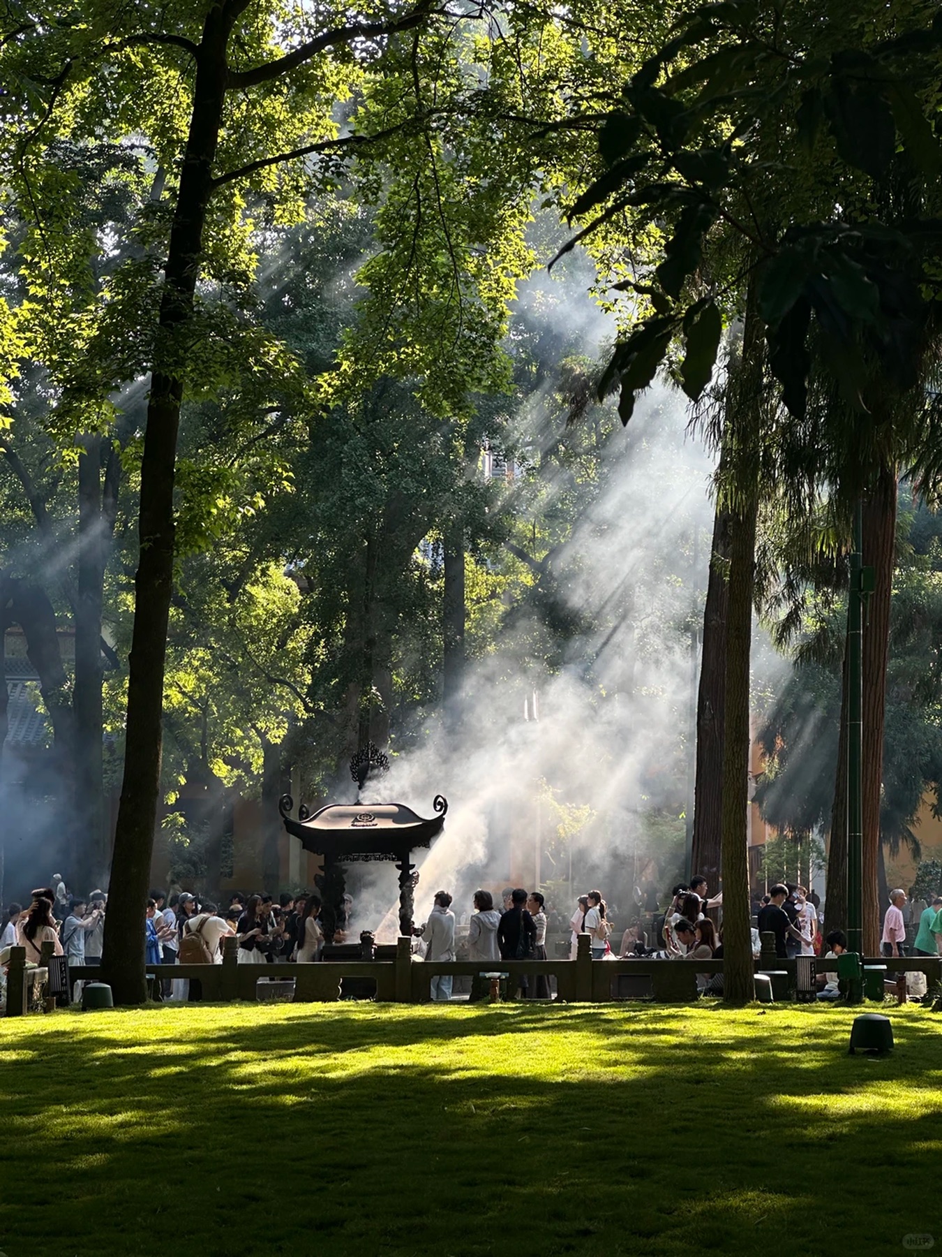 Lingyin Temple trees and path