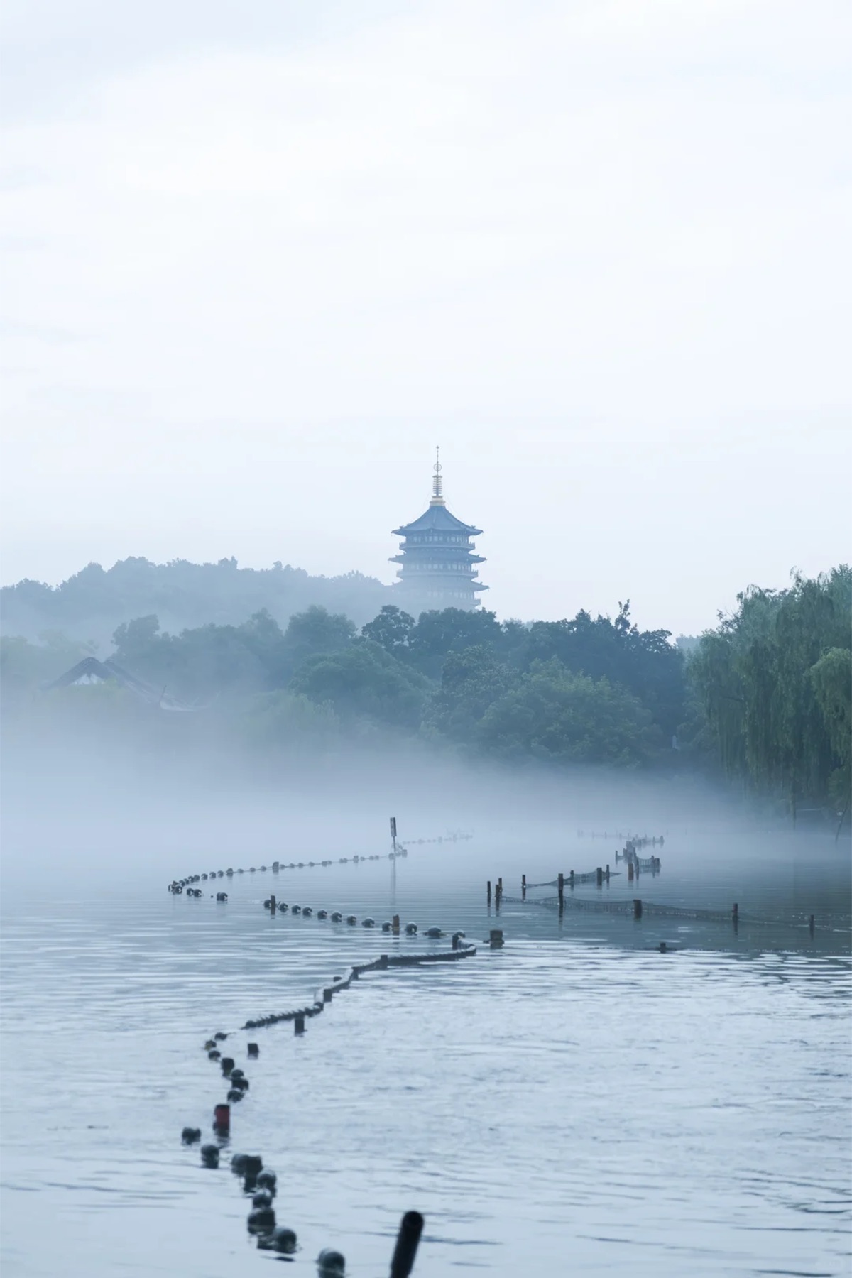 Misty West Lake water and trees