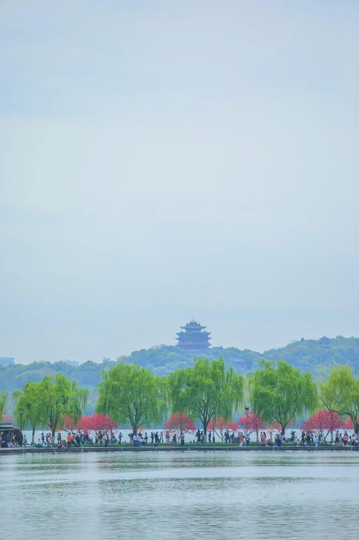 Spring trees near West Lake
