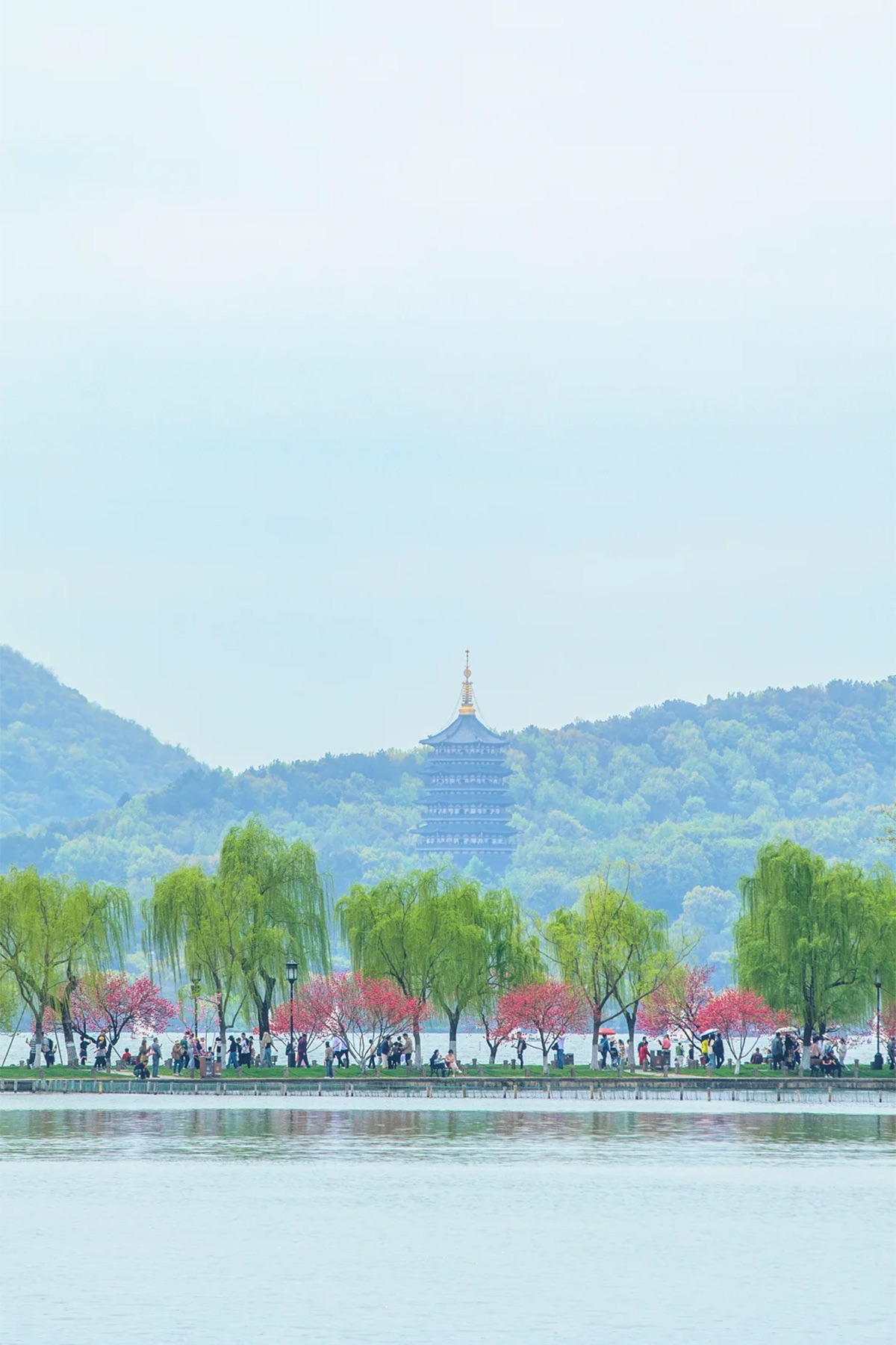 Spring West Lake with colorful trees